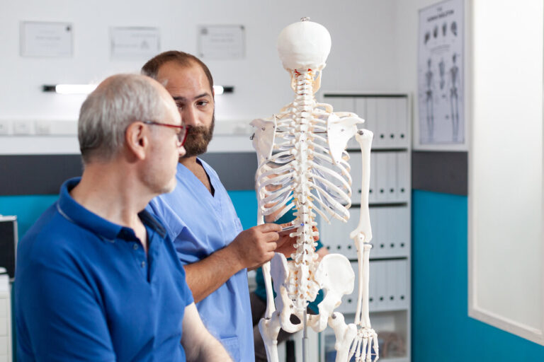 orthopedist explaining spinal cord on human skeleton