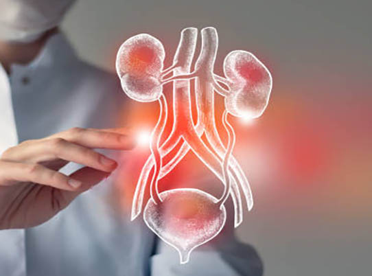 urology 1