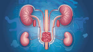 images (9)