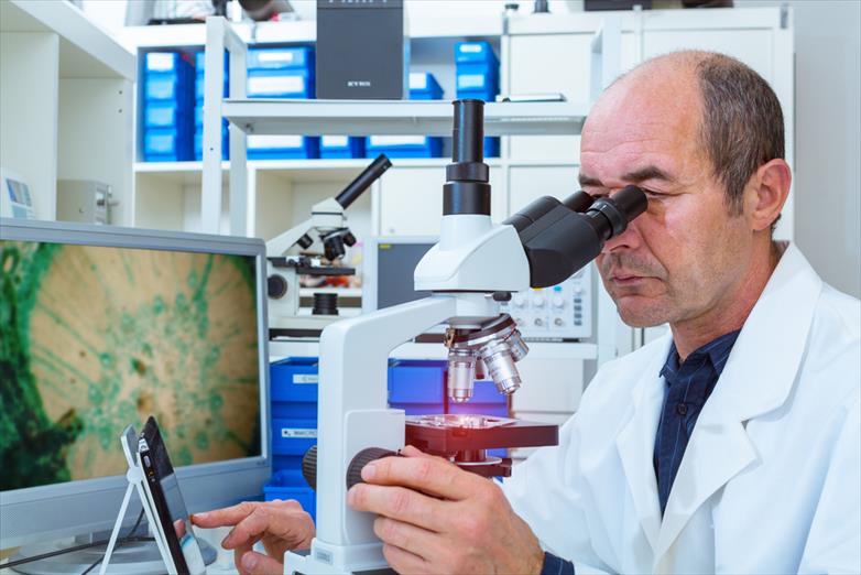 thumbnail large pathology photo tcm88 1758242